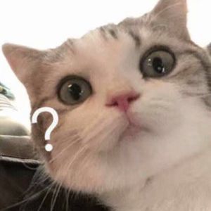 亚洲AV永久无码精品天堂久单男
