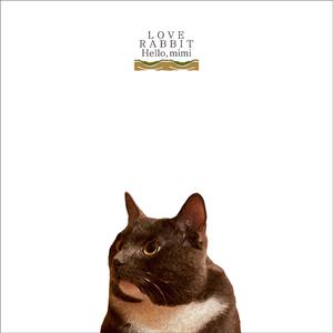 亚洲AV永久无码精品天堂久单男
